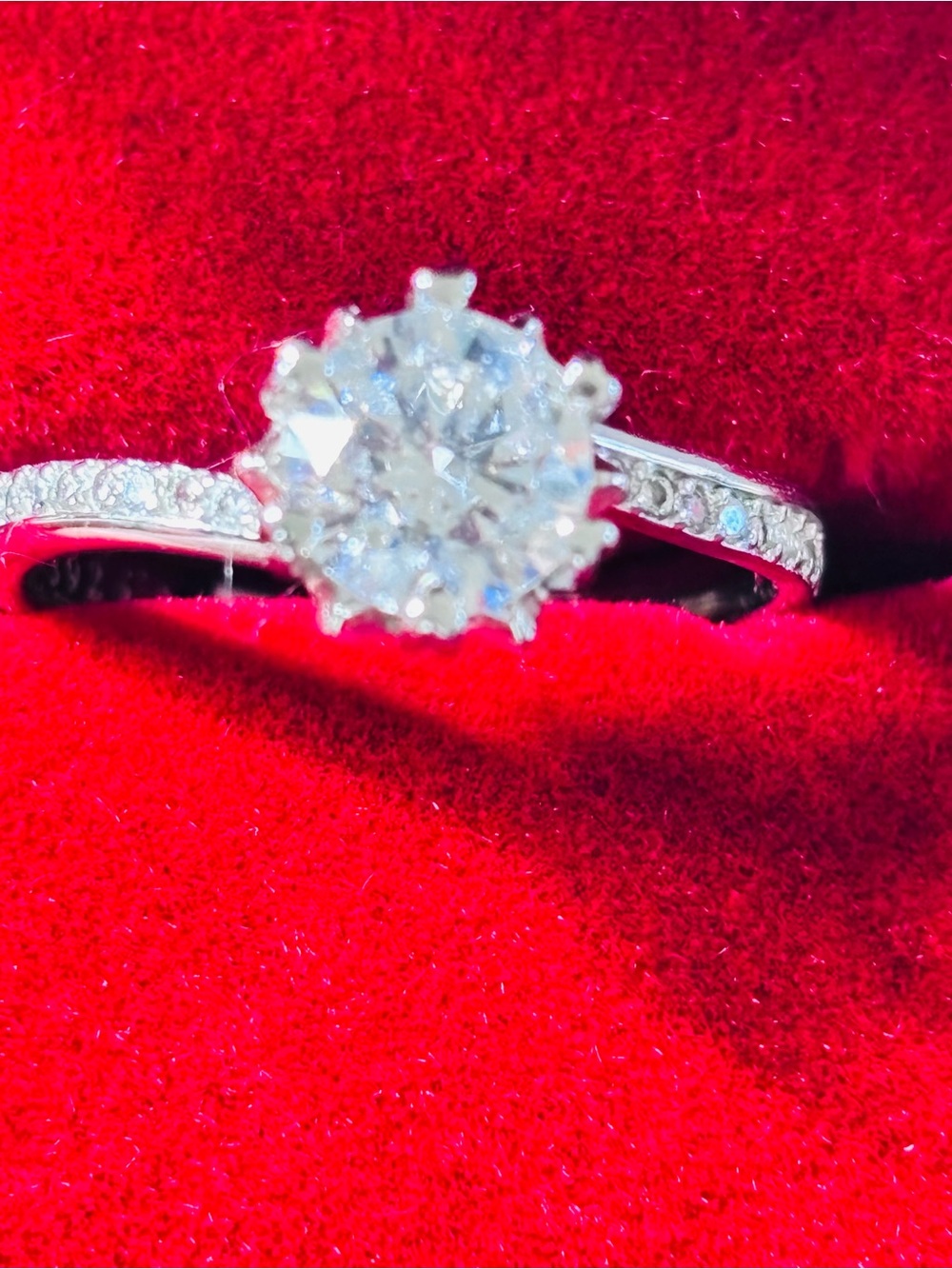 Sparkling 925 White Round-Cut Solitaire Halo Ring - Silver Tone Size 7 Adj